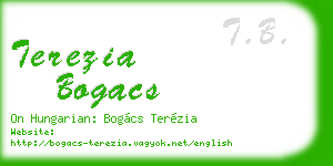 terezia bogacs business card